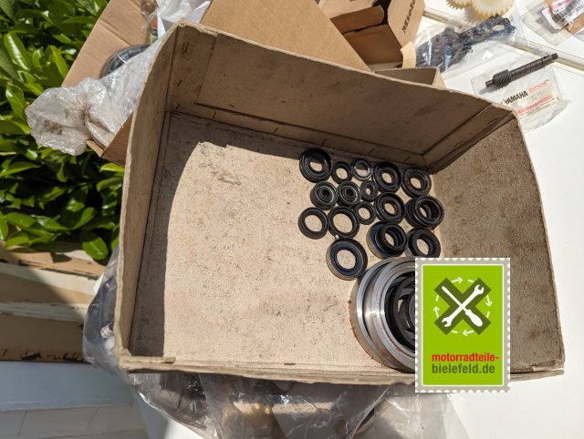 PXL_20240528_134157379